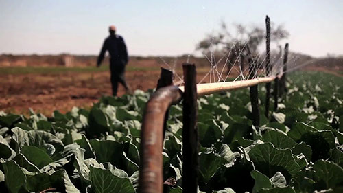 气候智慧型农业