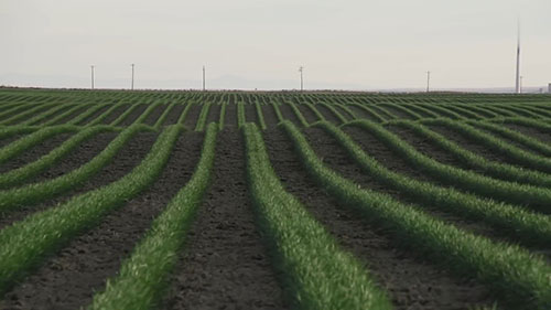 无人机农业技术