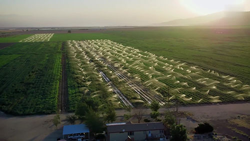 机器人处理农作物和杂草