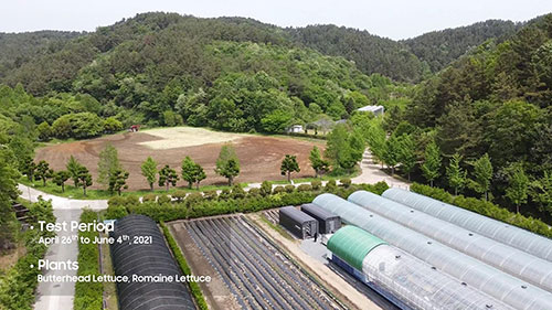 室内农场和照明方案