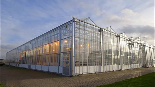 LED照明在农业中的应用