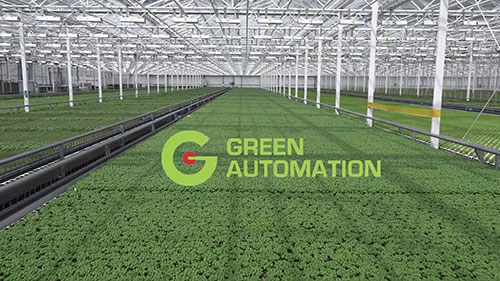 自动化蔬菜种植系统