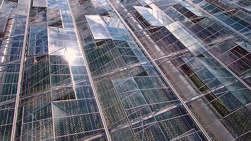 LED技术种植有机草药