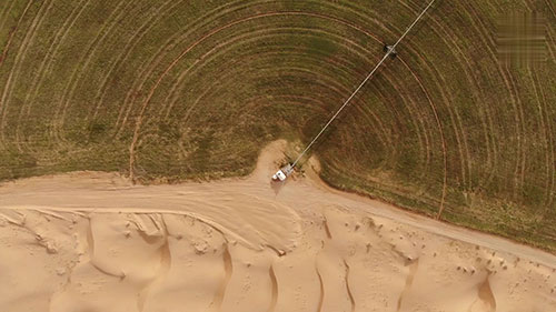 沙漠中的绿色蔬菜