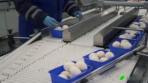 10家农业科技创业公司