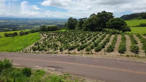 农业技术进步对农业的影响