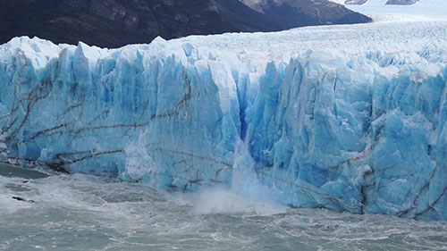 可持续农业在荷兰