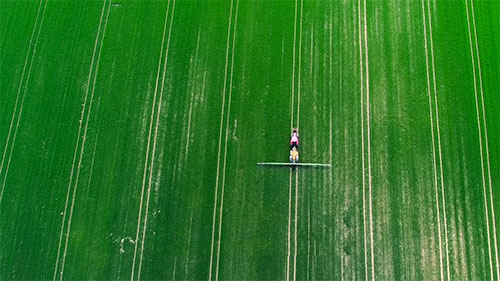 农作物的可持续耕种