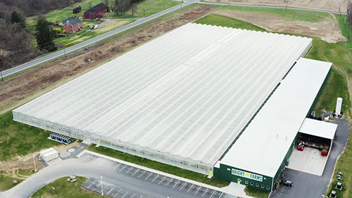 改进农产品供应链