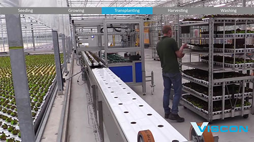 全自动水培系统