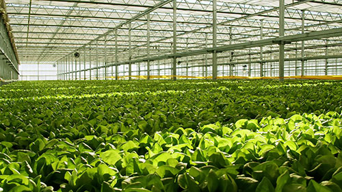 现代农业的自动化设备