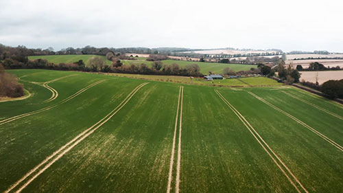人工智能和农业除草