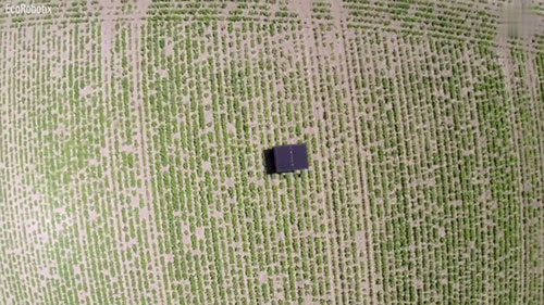 太阳能除草机器人