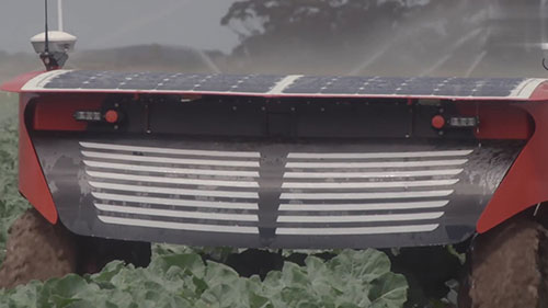 用机器人消灭害虫和杂草