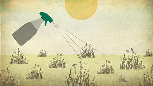 科学健康除草的方法