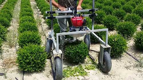 巧妙的农业方法和设备