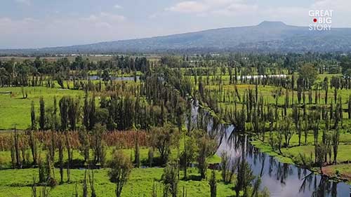 保护墨西哥的浮动农场