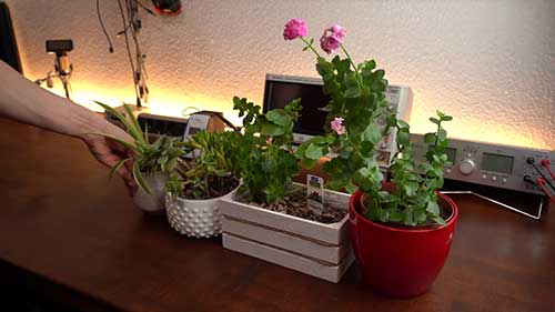 LED灯帮助作物生长