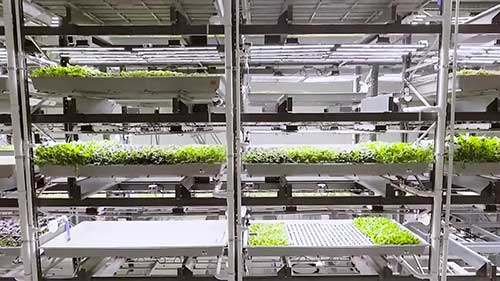 垂直农业和自动化
