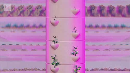 垂直农业发展现状