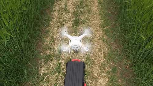 无人机评估作物生长