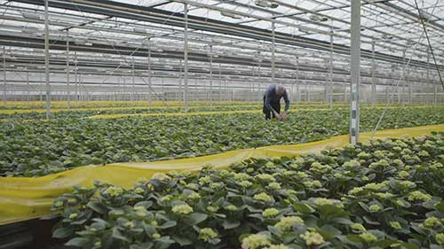 农作物监测工作