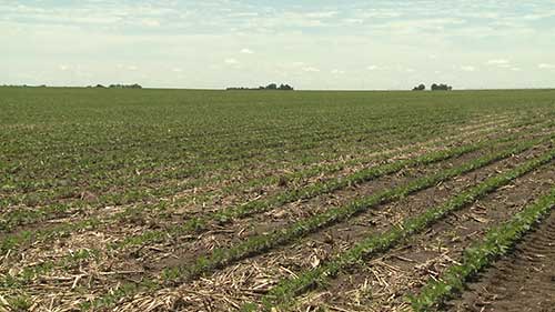 土壤湿度传感器