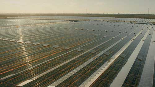 澳洲的Sundrop番茄农场