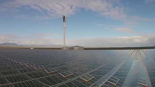 沙漠中的番茄农场