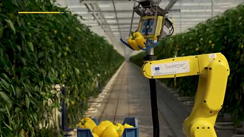 辣椒采摘机器人