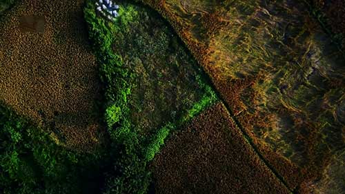 农业科技的力量