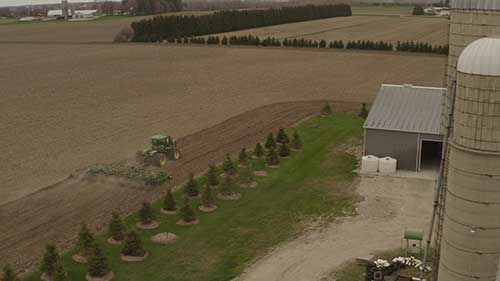 粮食种植和作物保护
