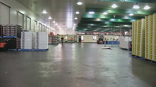 财务系统和农产品销售