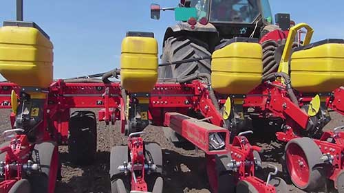 菜盘中的冷冻豌豆