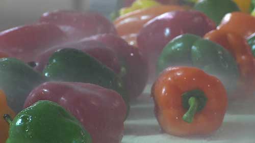 农产品采后的消毒处理