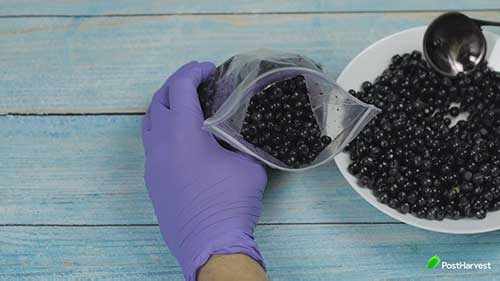 新鲜水果的冷冻方法