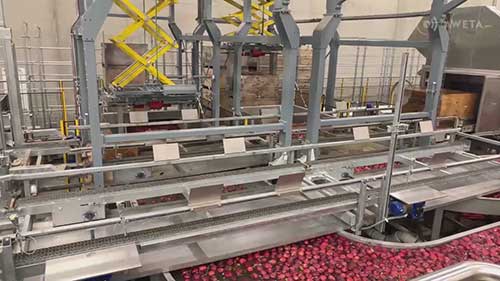 苹果包装全自动生产线