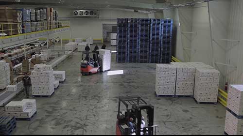 苹果包装和分级设备