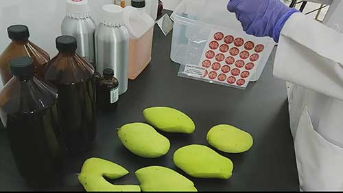 保鲜食物的抗菌贴纸