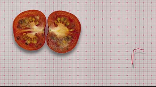 如何运输易腐食品