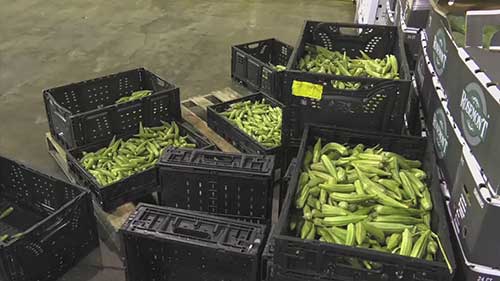 新鲜农产品直运