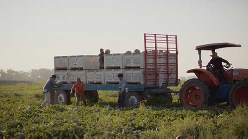 Farmlink农业项目