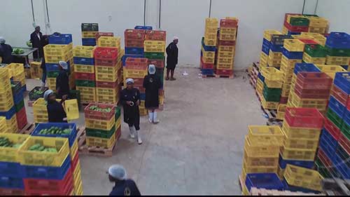 肯尼亚的创新食品供应链