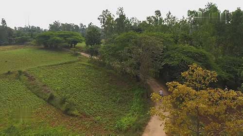 印度的低成本农业冷藏设施