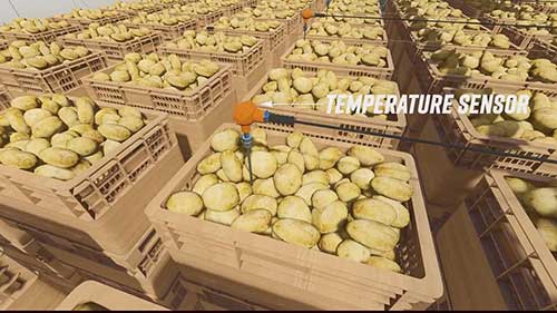 冷库中存储土豆