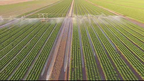 土豆的物流运输