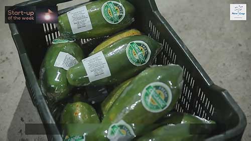 提高农产品供应链效率