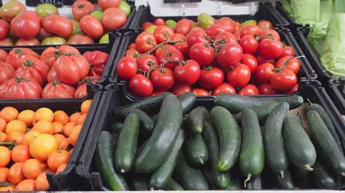 了解印度生鲜出口