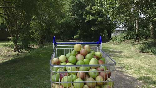 南非水果到英国