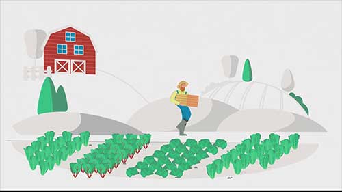 Rfxcel农产品供应链系统